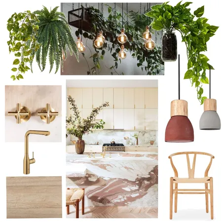kitchen Interior Design Mood Board by Plants By Bela on Style Sourcebook