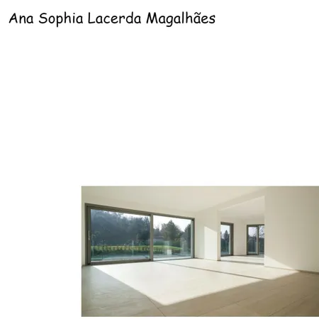 Ana Sophia Lacerda Magalhães Interior Design Mood Board by Susana Damy on Style Sourcebook