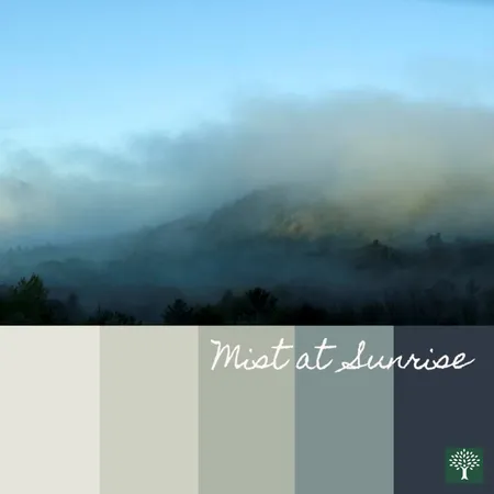 Mist at Sunrise Interior Design Mood Board by Chestnut Interior Design on Style Sourcebook