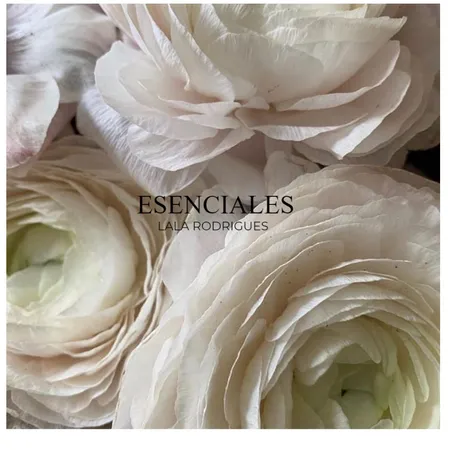 ESENCIALES Interior Design Mood Board by rosangela on Style Sourcebook