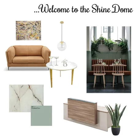 Shine Dome Interior Design Mood Board by T on Style Sourcebook