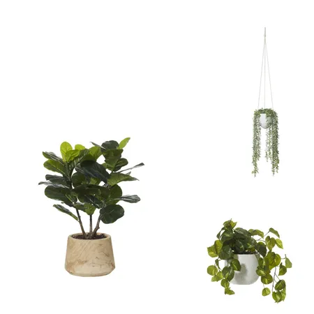 PLANTS Interior Design Mood Board by LIRONW on Style Sourcebook
