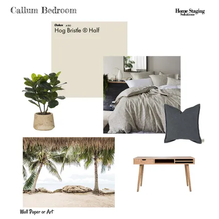 Callum Bedroom (9 Maurice Rd) Interior Design Mood Board by Home Staging Solutions on Style Sourcebook