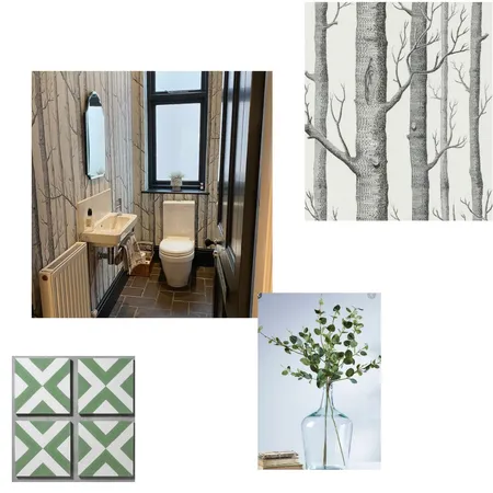 Downstairs loo adding green tiles Interior Design Mood Board by Jillyh on Style Sourcebook