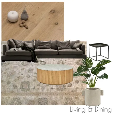 Living Room Robina Interior Design Mood Board by outsideinbydenise on Style Sourcebook