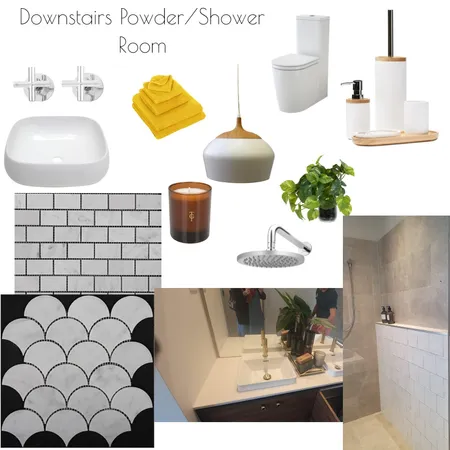 Downstairs Powder/Shower Interior Design Mood Board by kymaree on Style Sourcebook