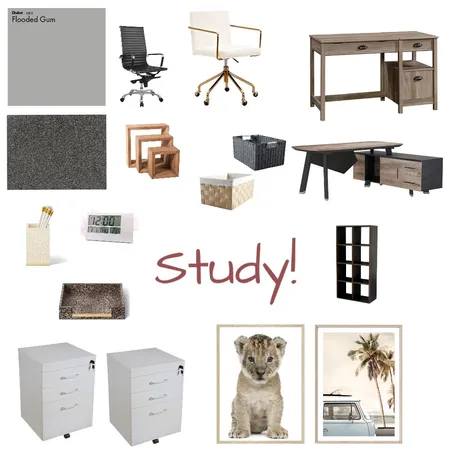 STUDY Interior Design Mood Board by mikaelaireland on Style Sourcebook