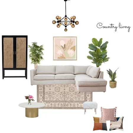 country living Interior Design Mood Board by Aditi savani on Style Sourcebook