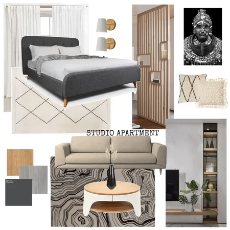 Ethnic Contemporary Studio Apartment Interior Design Mood Board by Corine E. Phillips on Style Sourcebook