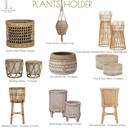 plants holder Interior Design Mood Board by livanurvuraldesign on Style Sourcebook