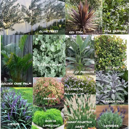 Garden plants Interior Design Mood Board by Ebcocopops on Style Sourcebook