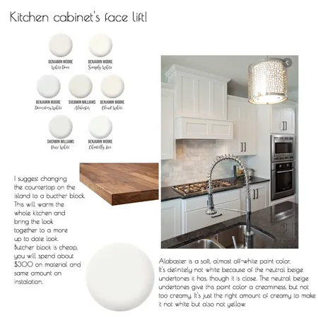Camila's Cabinet's facelift! Interior Design Mood Board by mahrich on Style Sourcebook