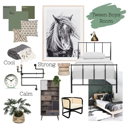 Tween Boys Room Interior Design Mood Board by Love Lee Renovations on Style Sourcebook