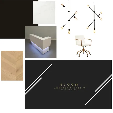 Bloom Aesthetic Studio by JR Interior Design Mood Board by JenaeRaquel on Style Sourcebook