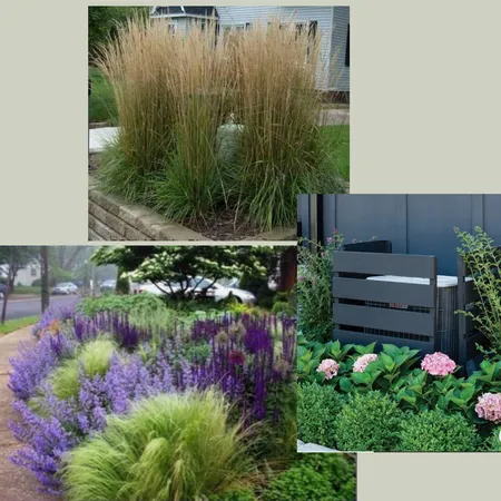 Ornamental Grasses Interior Design Mood Board by dorothy on Style Sourcebook