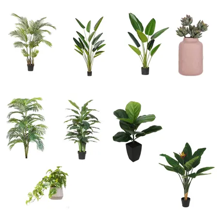 PLANTS2 Interior Design Mood Board by yaffgil on Style Sourcebook