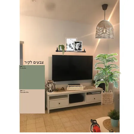 טלויזיה עדן Interior Design Mood Board by ornachum on Style Sourcebook
