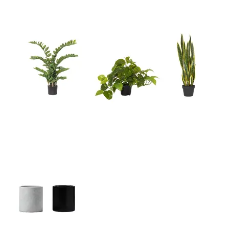 2צמחים Interior Design Mood Board by vladis on Style Sourcebook