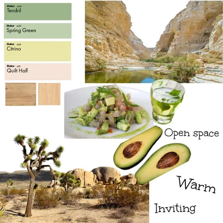 חלל כניסה - חם מזמין ופתוח Interior Design Mood Board by adialmog1 on Style Sourcebook