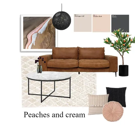 Peaches and Cream Interior Design Mood Board by taketwointeriors on Style Sourcebook