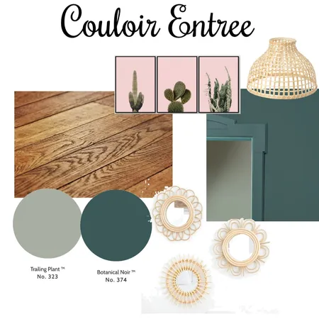 Couloir Maisons Alfort Interior Design Mood Board by efescou on Style Sourcebook