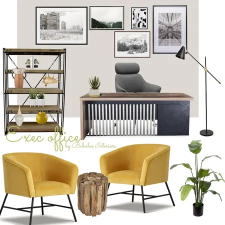 Exec office Interior Design Mood Board by Babaloe Interiors on Style Sourcebook