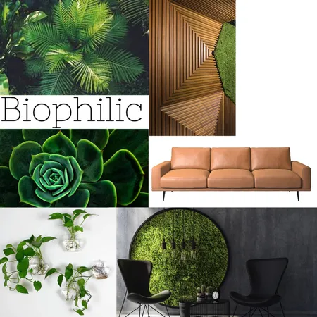 biophilic Interior Design Mood Board by ValerieHormes on Style Sourcebook