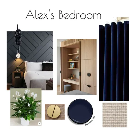 Dream House - Alex's Bedroom Interior Design Mood Board by Naomi.S on Style Sourcebook