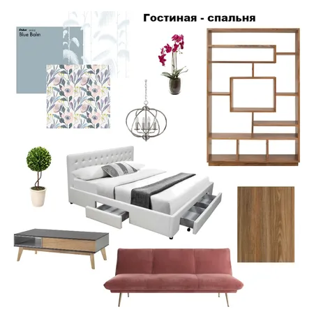 Гостиная - спальня Interior Design Mood Board by Людмила on Style Sourcebook