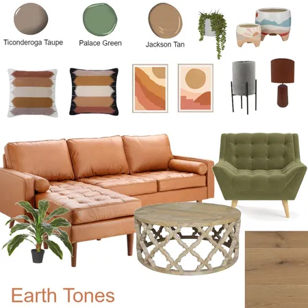 earth tones Interior Design Mood Board by ebarry25 on Style Sourcebook