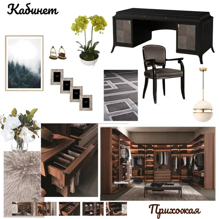 кабинет и прихожая Interior Design Mood Board by olenadkherson on Style Sourcebook