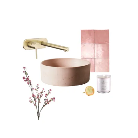 pink concrete bathroom Interior Design Mood Board by interiors.by.sarah on Style Sourcebook