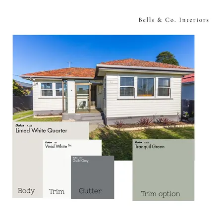 Exterior Paint Scheme Interior Design Mood Board by Bells & Co. Interiors on Style Sourcebook