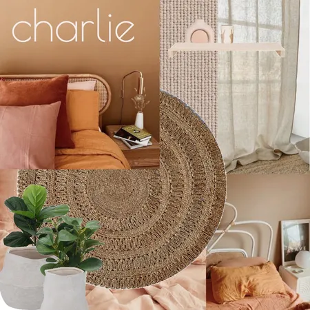 charlie Interior Design Mood Board by Dimension Building on Style Sourcebook