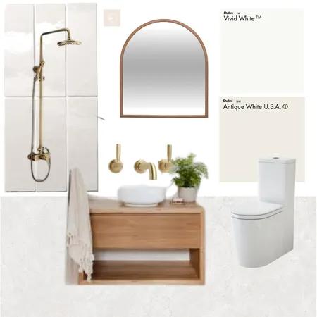 Project Tyne Bathroom Interior Design Mood Board by Afsha Ahmedi (Styled by inspiration) on Style Sourcebook
