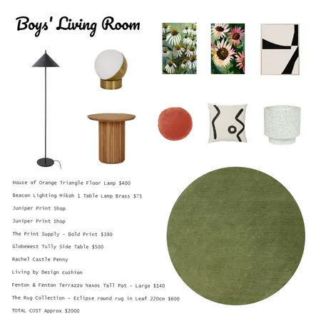 Boys' Living Room COST Interior Design Mood Board by juliamode on Style Sourcebook