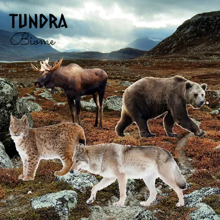 TUNDRA Interior Design Mood Board by HeidiN on Style Sourcebook