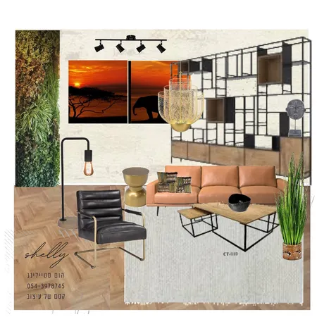 העמדה סלון פנטהאוז Interior Design Mood Board by Shlomit2021 on Style Sourcebook
