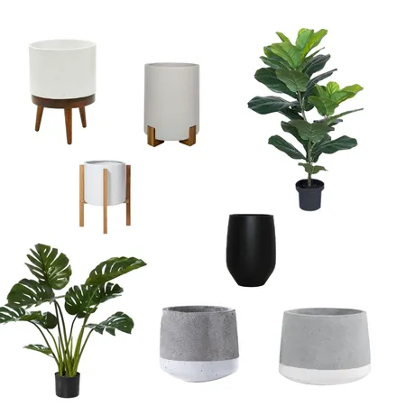 Indoor Plant and Planter Interior Design Mood Board by ebonyb on Style Sourcebook