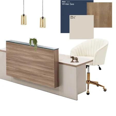 Medical Reception Interior Design Mood Board by Μαριάνθη on Style Sourcebook