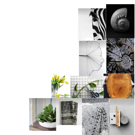 לוח השראה Interior Design Mood Board by דנה לוי on Style Sourcebook