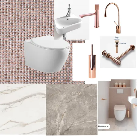 guest bathroom Interior Design Mood Board by helenabean on Style Sourcebook