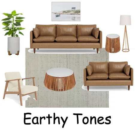 Earth Tones Interior Design Mood Board by Di Taylor Interiors on Style Sourcebook