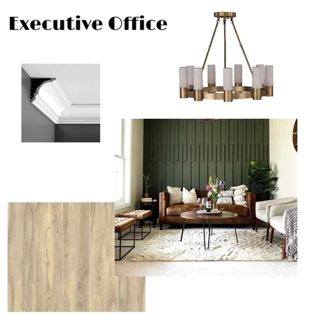 Executive Office Interior Design Mood Board by Mary Helen Uplifting Designs on Style Sourcebook