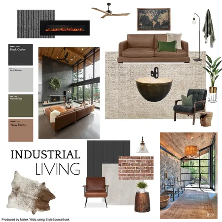 Industrial Interior Design Mood Board by MelekYildiz on Style Sourcebook