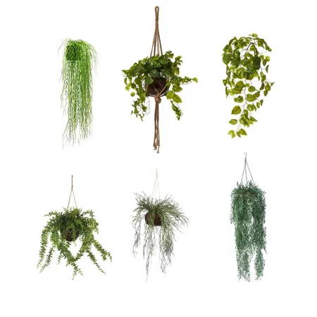 Hanging Plants Interior Design Mood Board by decorate with sam on Style Sourcebook