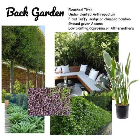 Rob and Ninas Back garden Interior Design Mood Board by Leigh Fairbrother on Style Sourcebook