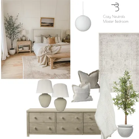 cozy neutrals master bedroom Interior Design Mood Board by Bakithi Thukwana on Style Sourcebook