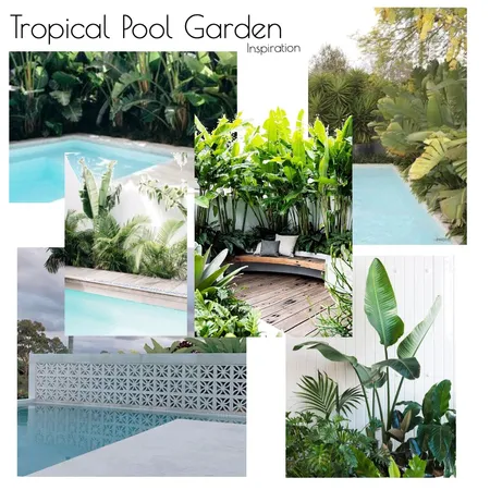 Tropical Pool Garden Inspiration pics Interior Design Mood Board by Leafdesigns on Style Sourcebook