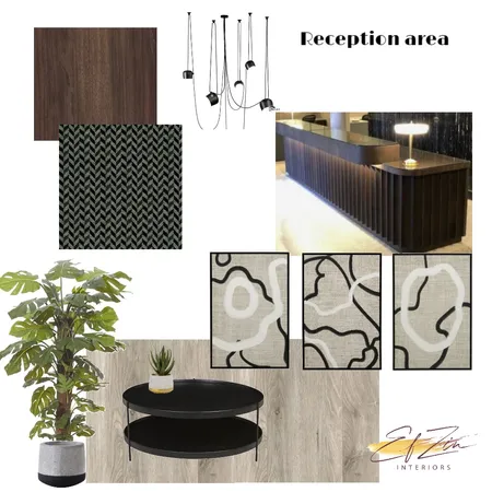 ENT Clinic Reception area Interior Design Mood Board by EF ZIN Interiors on Style Sourcebook